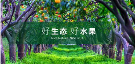 海歸博士回鄉創業種魏柑