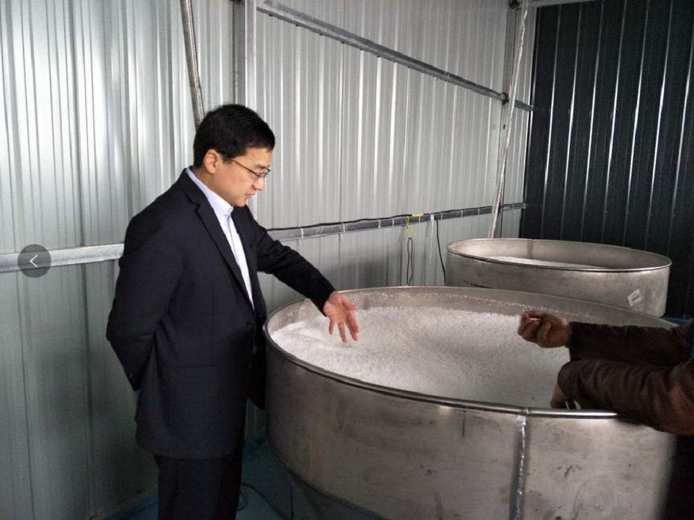 1月26日張力視察5.png 1月26日張力視察5.png